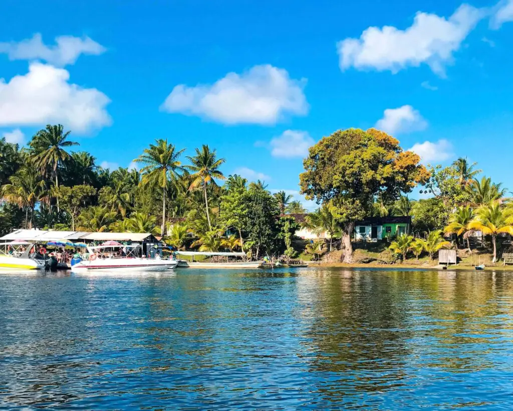 Canasvieiras-Cairu-Bahia-1
